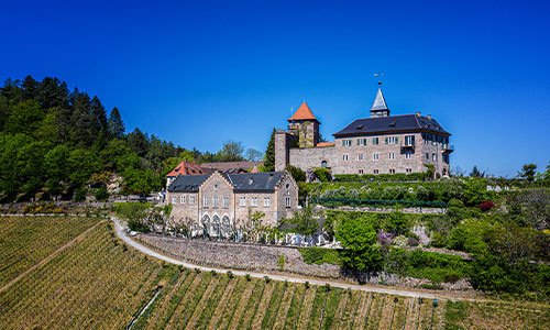 Schloss auf Hügel mit Weinreben